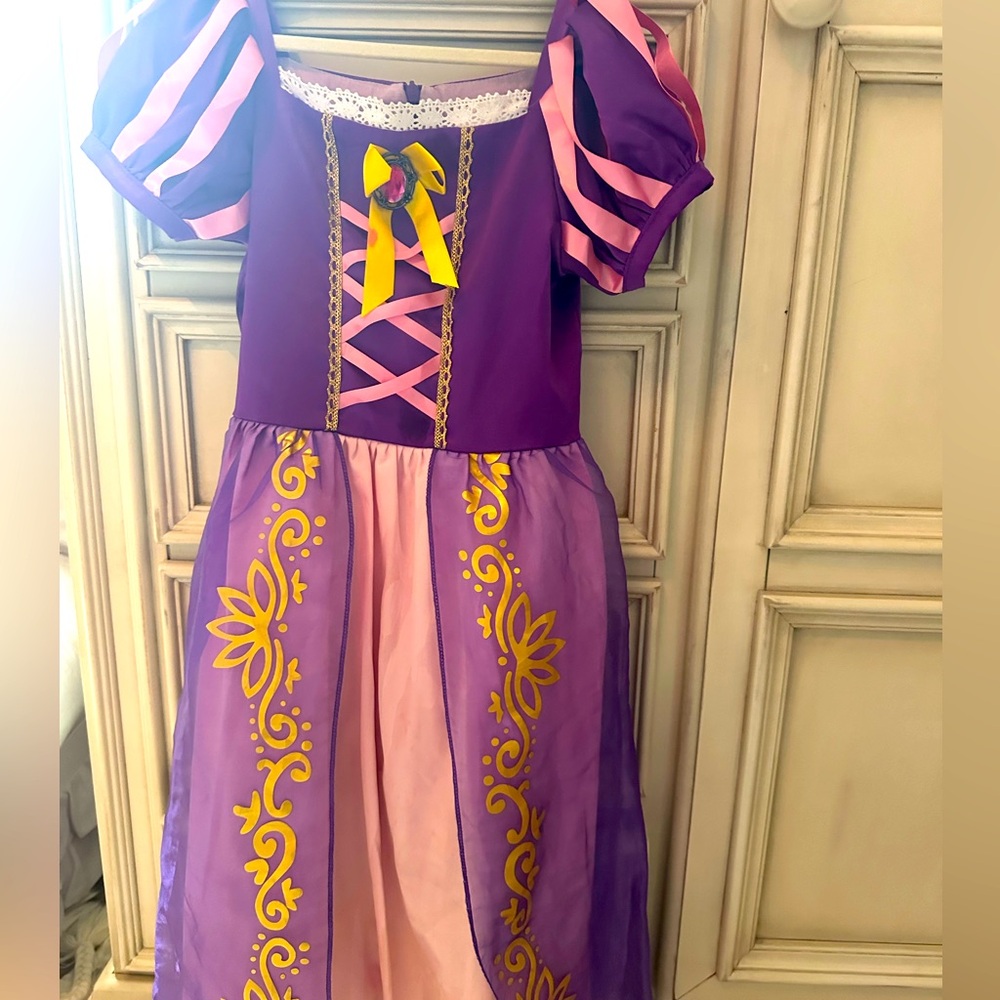 Rapunzel or Aurora Costume 5